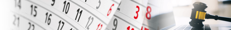 Auction Calendar